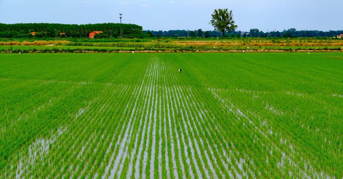 Sicilia: nuovo bando da 40 milioni per  la diversificazione delle imprese agricole