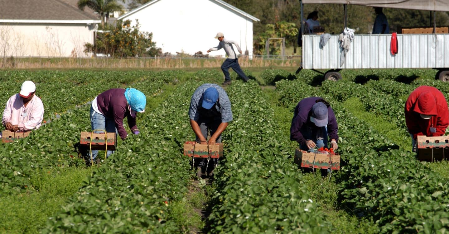 Al via il piano per creare alloggi anticaporalato