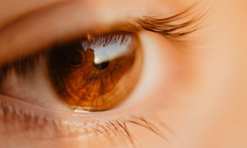 Importanti progressi dell'optogenetica contro una patologia retinica